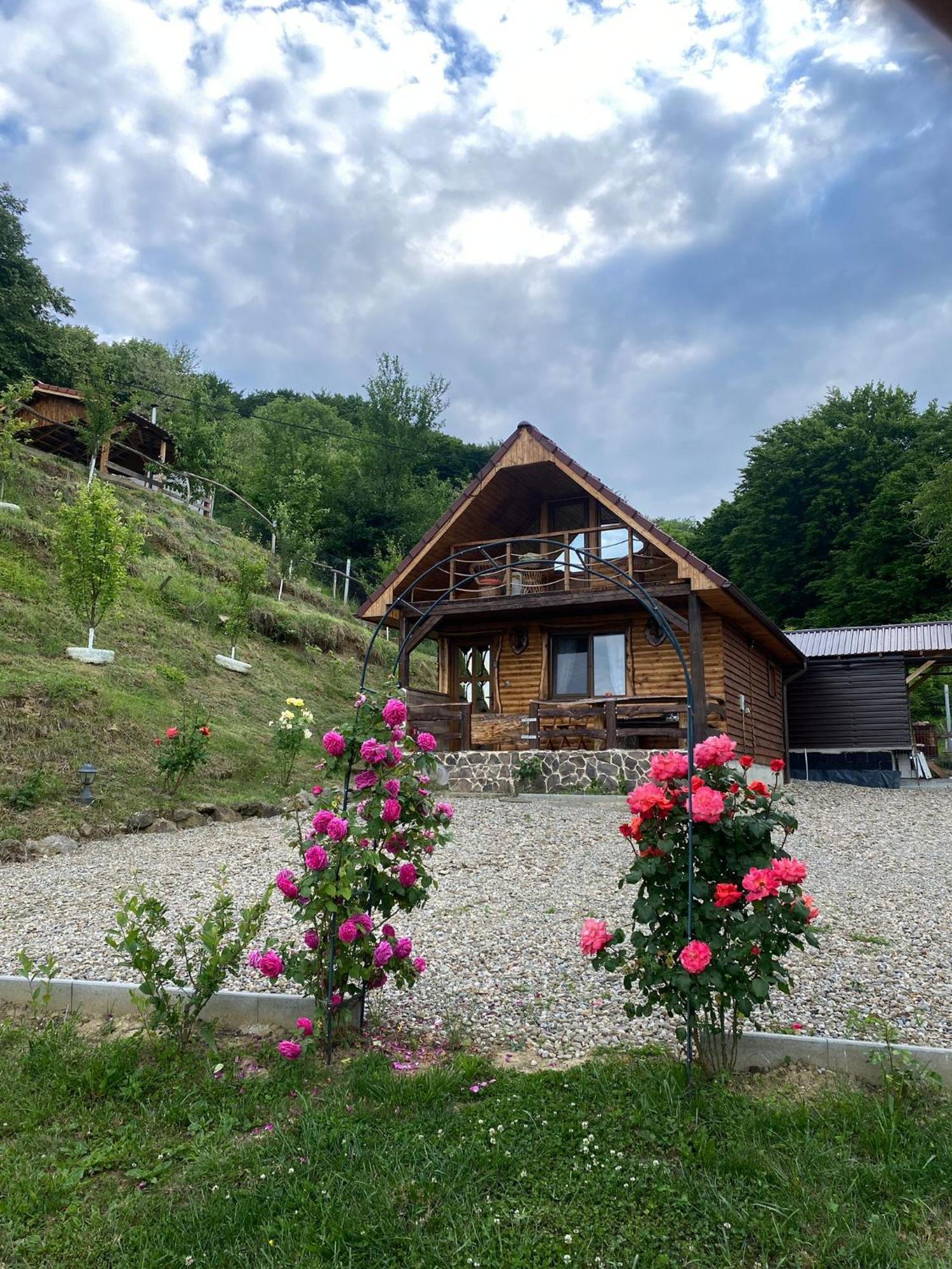 Chalets Du Bf Sighişoara Exterior foto